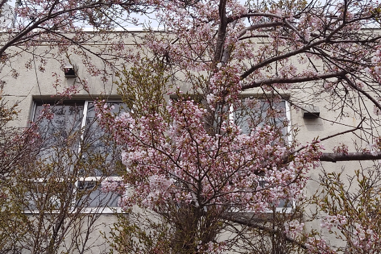 20250507_134532.JPG