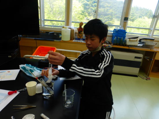 P1530769.JPG