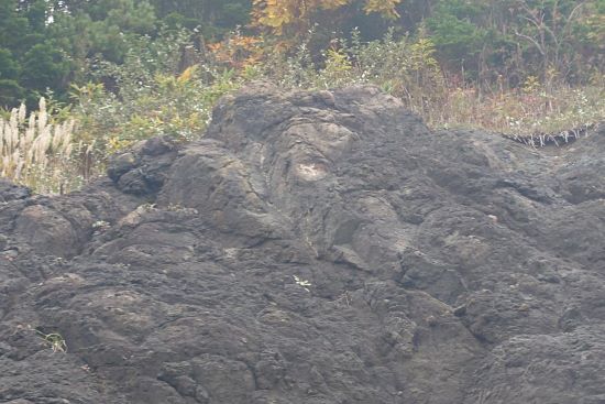 20251021_105942.JPG