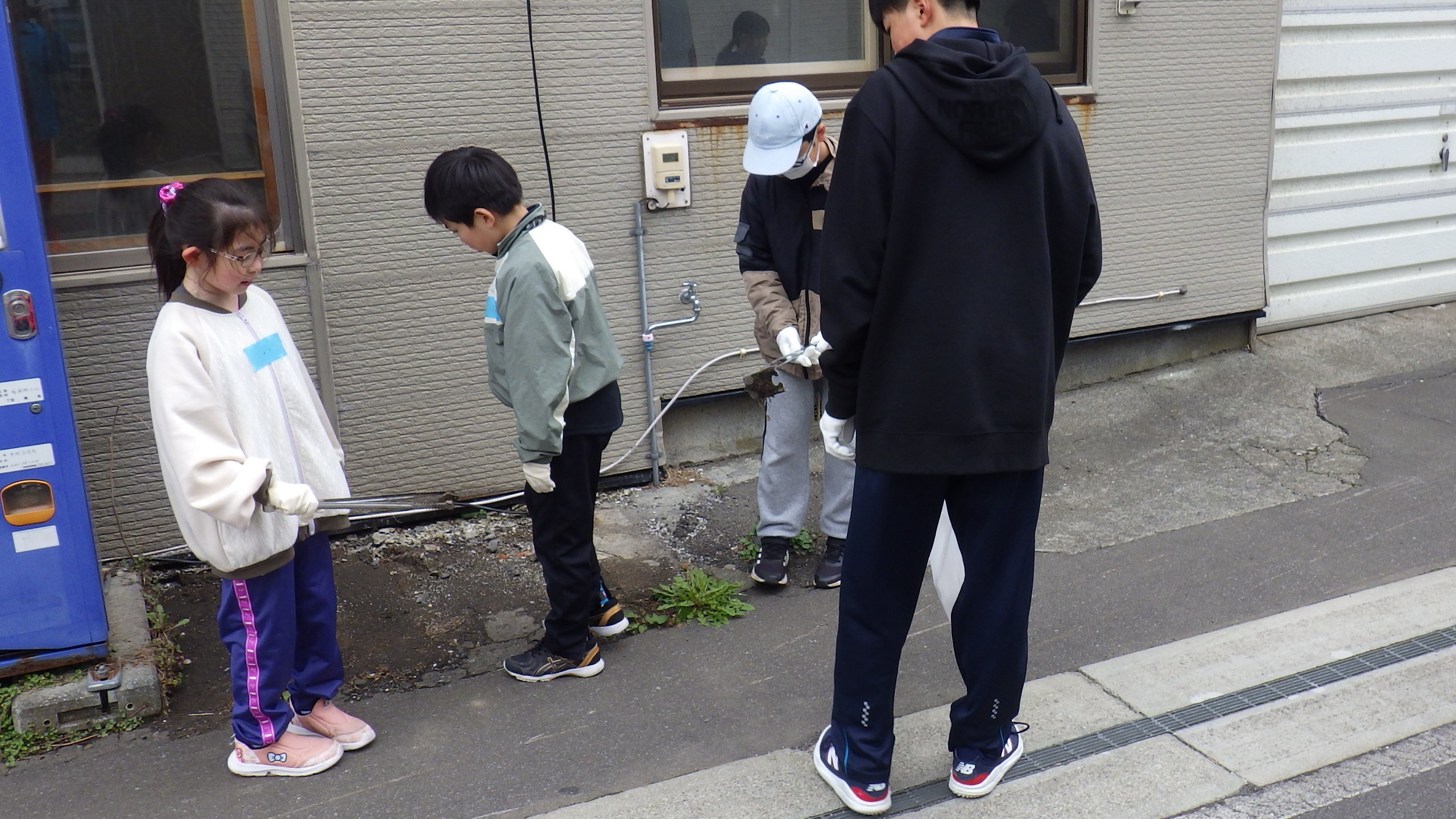 IMGP6956.JPG