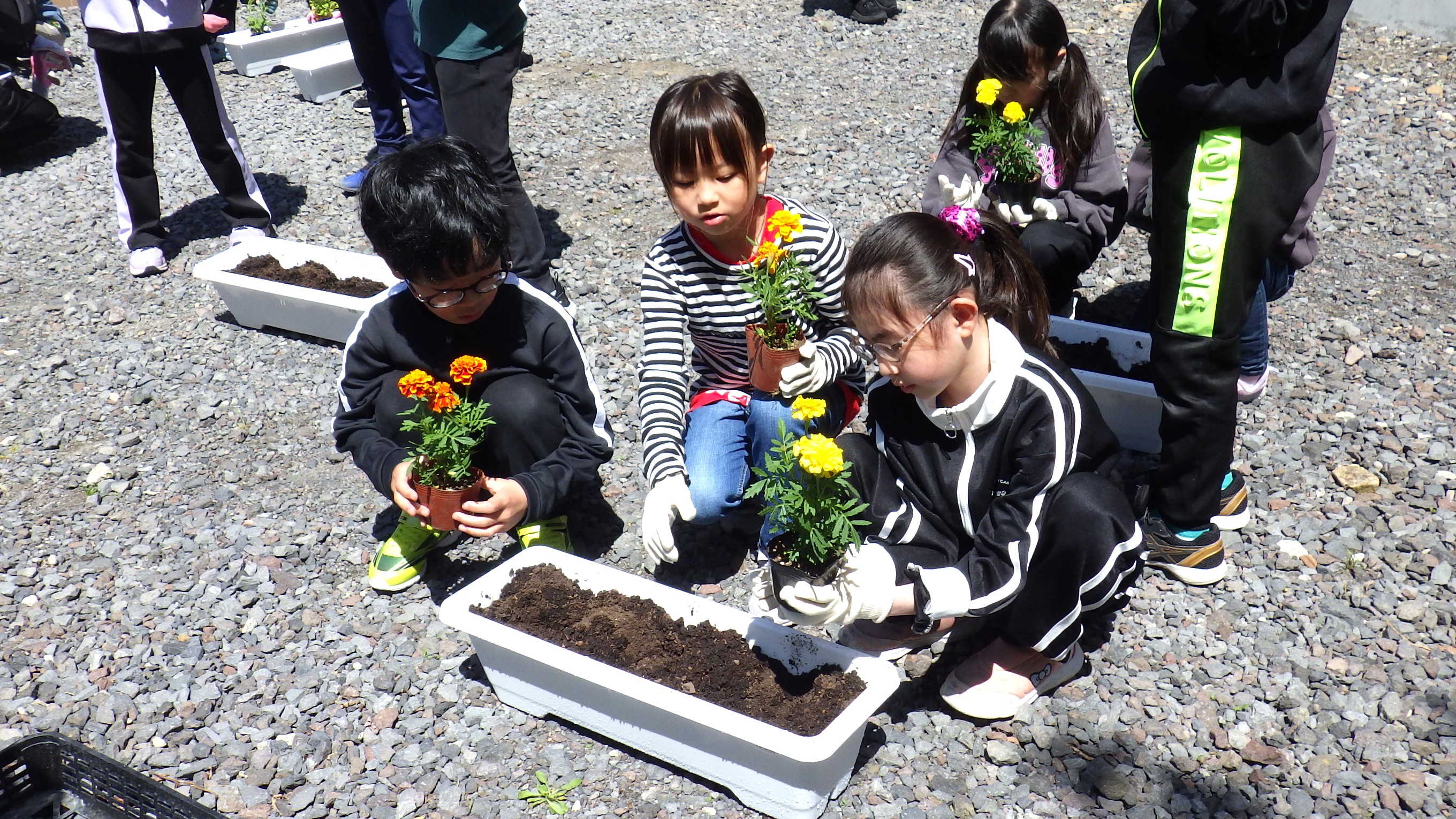 IMGP7193.JPG
