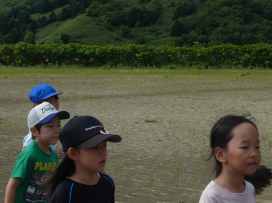 P1530891.JPG