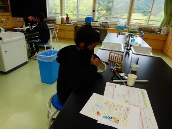 P1530768.JPG